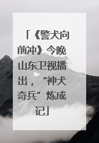 《警犬向前冲》今晚山东卫视播出，“神犬奇兵”炼成记