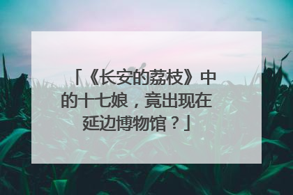 《长安的荔枝》中的十七娘，竟出现在延边博物馆？