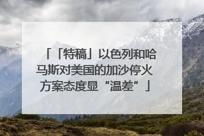「特稿」以色列和哈马斯对美国的加沙停火方案态度显“温差”