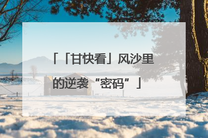 「甘快看」风沙里的逆袭“密码”