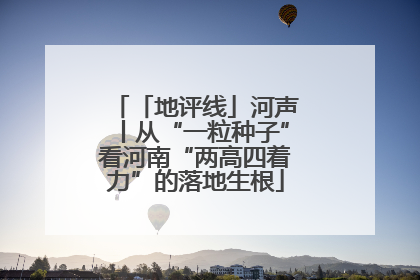 「地评线」河声丨从“一粒种子”看河南“两高四着力”的落地生根