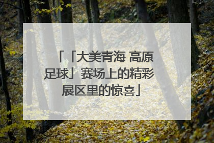 「大美青海 高原足球」赛场上的精彩 展区里的惊喜