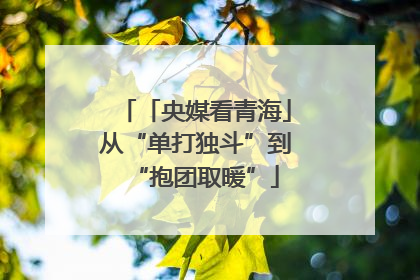 「央媒看青海」从“单打独斗”到“抱团取暖”