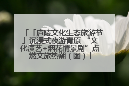 「庐陵文化生态旅游节」沉浸式夜游青原 “文化演艺+烟花情景剧”点燃文旅热潮（图）