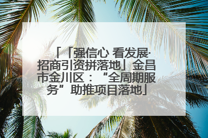 「强信心 看发展·招商引资拼落地」金昌市金川区：“全周期服务”助推项目落地