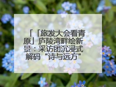 「旅发大会看青原」庐陵湾畔绘新景：采访团沉浸式解码“诗与远方”（图）