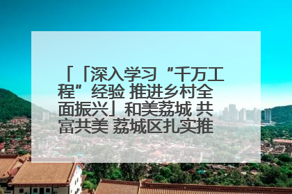 「深入学习“千万工程”经验 推进乡村全面振兴」和美荔城 共富共美 荔城区扎实推进乡村振兴工作