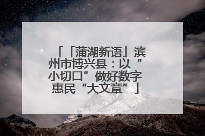 「蒲湖新语」滨州市博兴县：以“小切口”做好数字惠民“大文章”