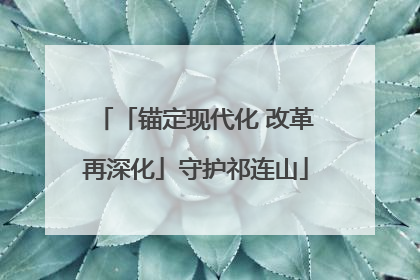 「锚定现代化 改革再深化」守护祁连山