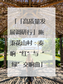 「高质量发展调研行」施秉花山村：奏响“红”与“绿”交响曲