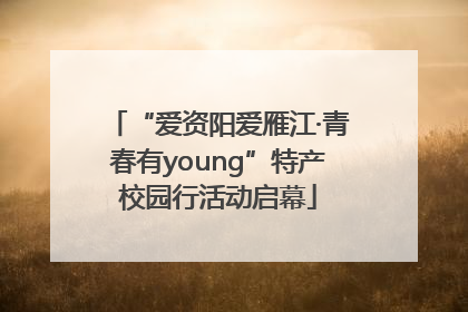 “爱资阳爱雁江·青春有young”特产校园行活动启幕