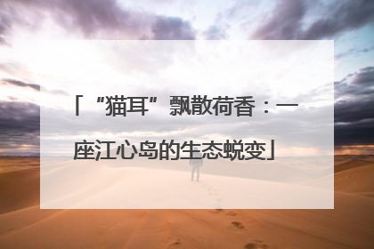 “猫耳”飘散荷香：一座江心岛的生态蜕变
