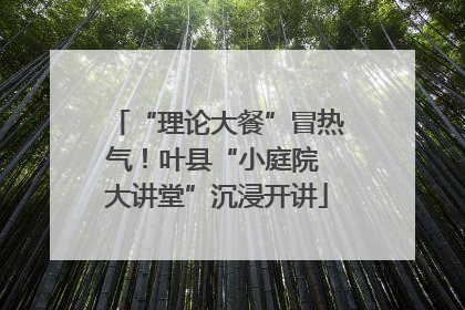 “理论大餐”冒热气！叶县“小庭院 大讲堂”沉浸开讲