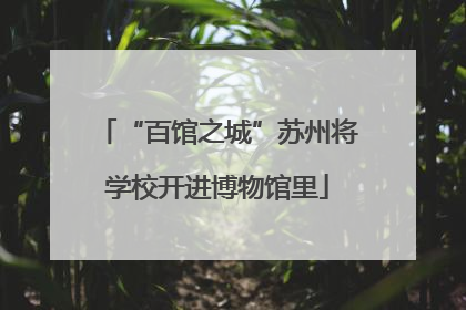 “百馆之城”苏州将学校开进博物馆里
