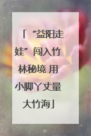 “益阳走娃”闯入竹林秘境 用小脚丫丈量大竹海