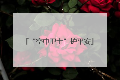 “空中卫士”护平安