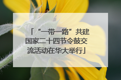 “一带一路”共建国家二十四节令鼓交流活动在华大举行