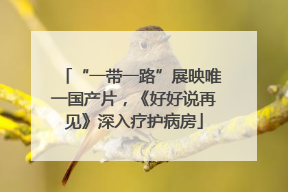 “一带一路”展映唯一国产片，《好好说再见》深入疗护病房