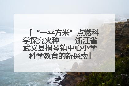 “一平方米”点燃科学探究火种——浙江省武义县桐琴镇中心小学科学教育的新探索
