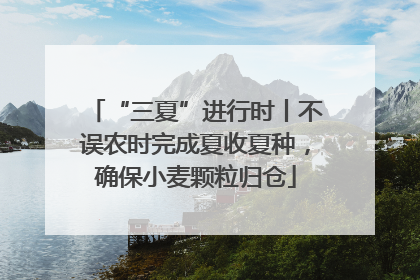 “三夏”进行时丨不误农时完成夏收夏种，确保小麦颗粒归仓
