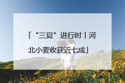 “三夏”进行时丨河北小麦收获近七成