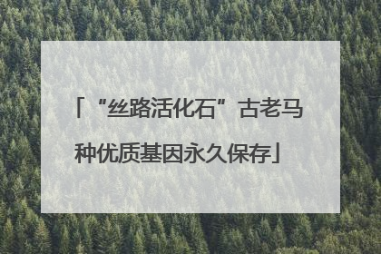 “丝路活化石”古老马种优质基因永久保存