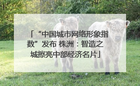 “中国城市网络形象指数”发布 株洲：智造之城擦亮中部经济名片