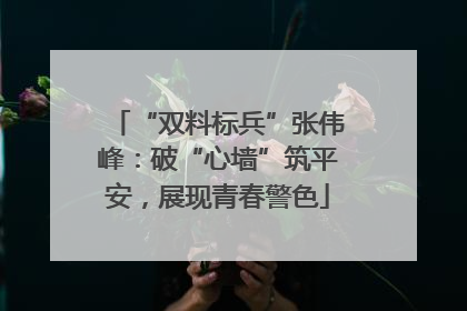 “双料标兵”张伟峰：破“心墙”筑平安，展现青春警色