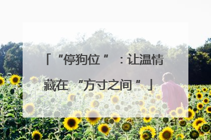 “停狗位 ”：让温情藏在 “方寸之间 ”