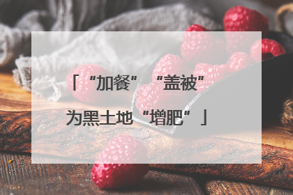 “加餐”“盖被” 为黑土地“增肥”
