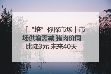 “培”你探市场｜市场供增需减 猪肉价同比降3元 未来40天便宜猪肉敞开吃