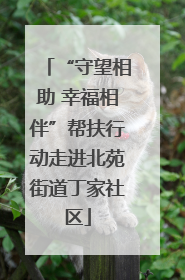 “守望相助 幸福相伴”帮扶行动走进北苑街道丁家社区
