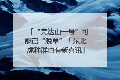 “完达山一号”可能已“脱单”！东北虎种群也有新喜讯