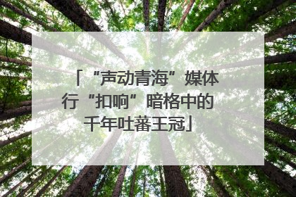 “声动青海”媒体行“扣响”暗格中的千年吐蕃王冠