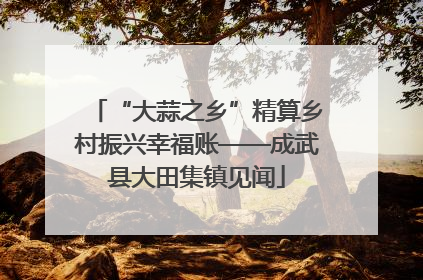 “大蒜之乡”精算乡村振兴幸福账——成武县大田集镇见闻