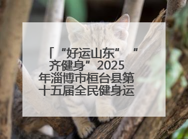 “好运山东”“齐健身”2025年淄博市桓台县第十五届全民健身运动会开赛仪式暨“农业银行杯”第一届社区工作队伍运动会开赛