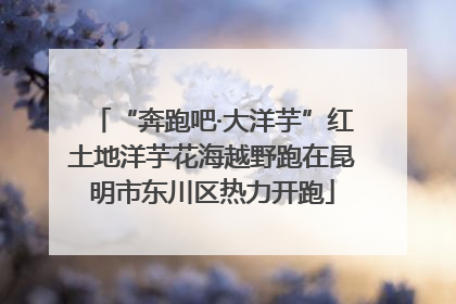 “奔跑吧·大洋芋”红土地洋芋花海越野跑在昆明市东川区热力开跑