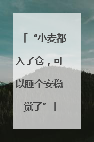 “小麦都入了仓，可以睡个安稳觉了”