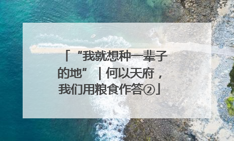 “我就想种一辈子的地”｜何以天府，我们用粮食作答②