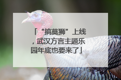 “搞莫狮”上线，武汉方言主题乐园年底也要来了