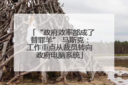 “政府效率部成了替罪羊” 马斯克：工作重点从裁员转向政府电脑系统