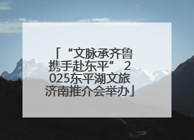 “文脉承齐鲁 携手赴东平” 2025东平湖文旅济南推介会举办