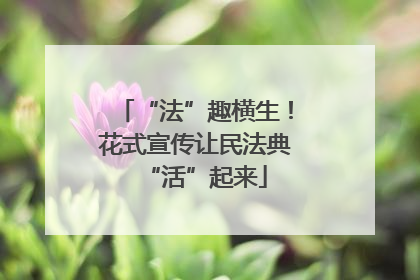 “法”趣横生！花式宣传让民法典“活”起来