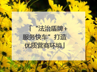“法治盾牌+服务快车”打造优质营商环境