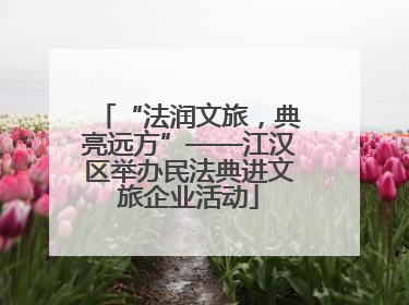 “法润文旅，典亮远方”——江汉区举办民法典进文旅企业活动