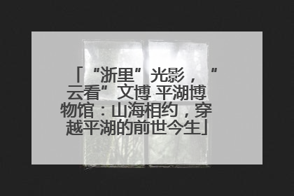 “浙里”光影，“云看”文博 平湖博物馆：山海相约，穿越平湖的前世今生