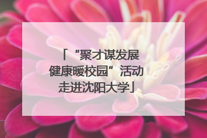 “聚才谋发展 健康暖校园”活动走进沈阳大学