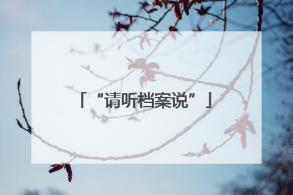 “请听档案说”