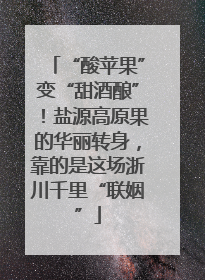 “酸苹果”变“甜酒酿”！盐源高原果的华丽转身，靠的是这场浙川千里“联姻”