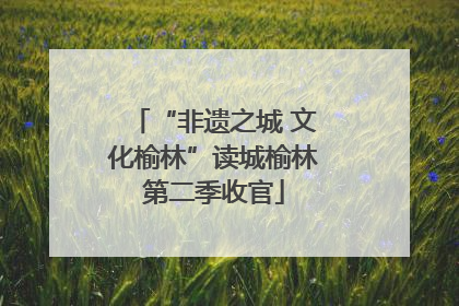 “非遗之城 文化榆林”读城榆林第二季收官